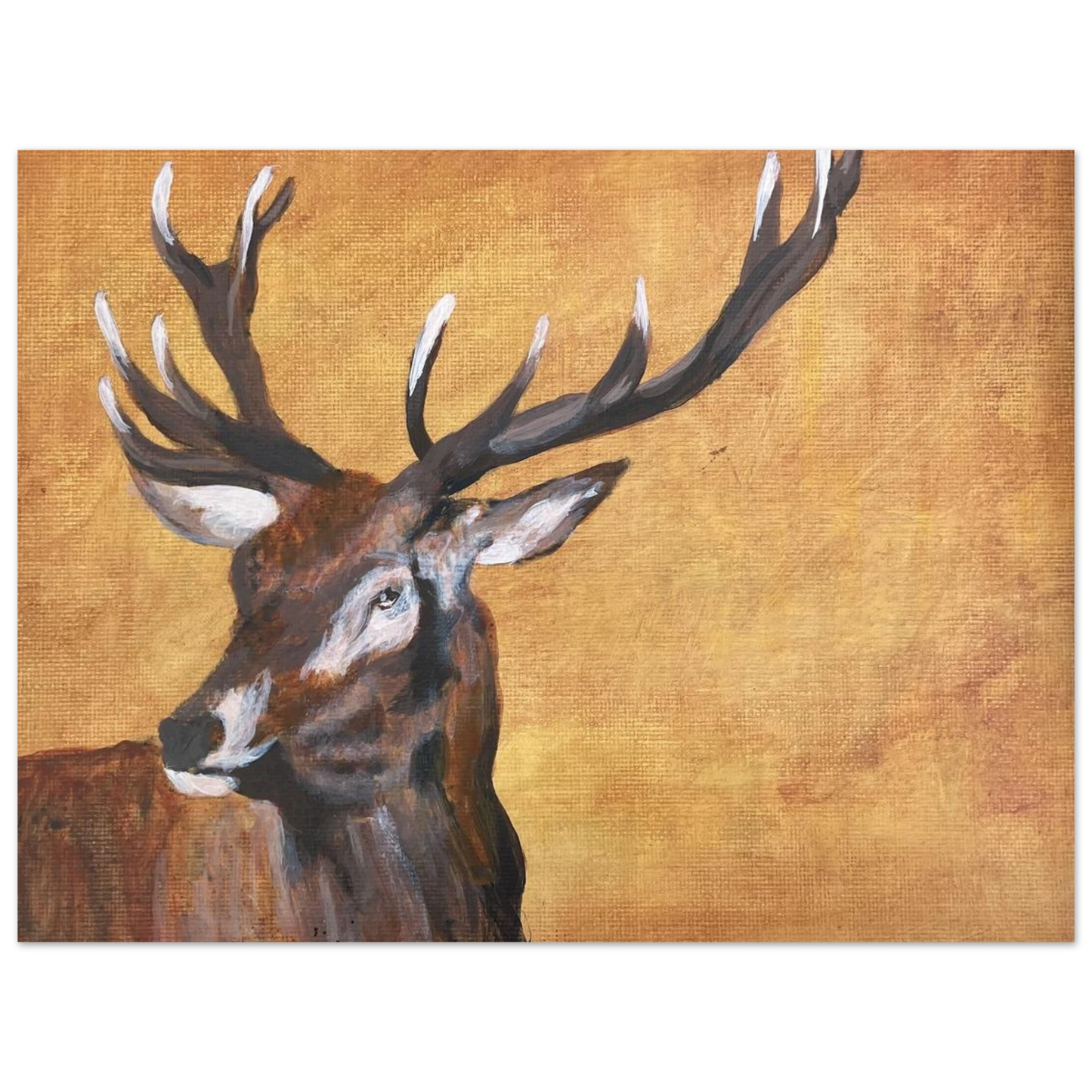 ddf576e3-b466-4e55-b32a-03fe58a3e18e