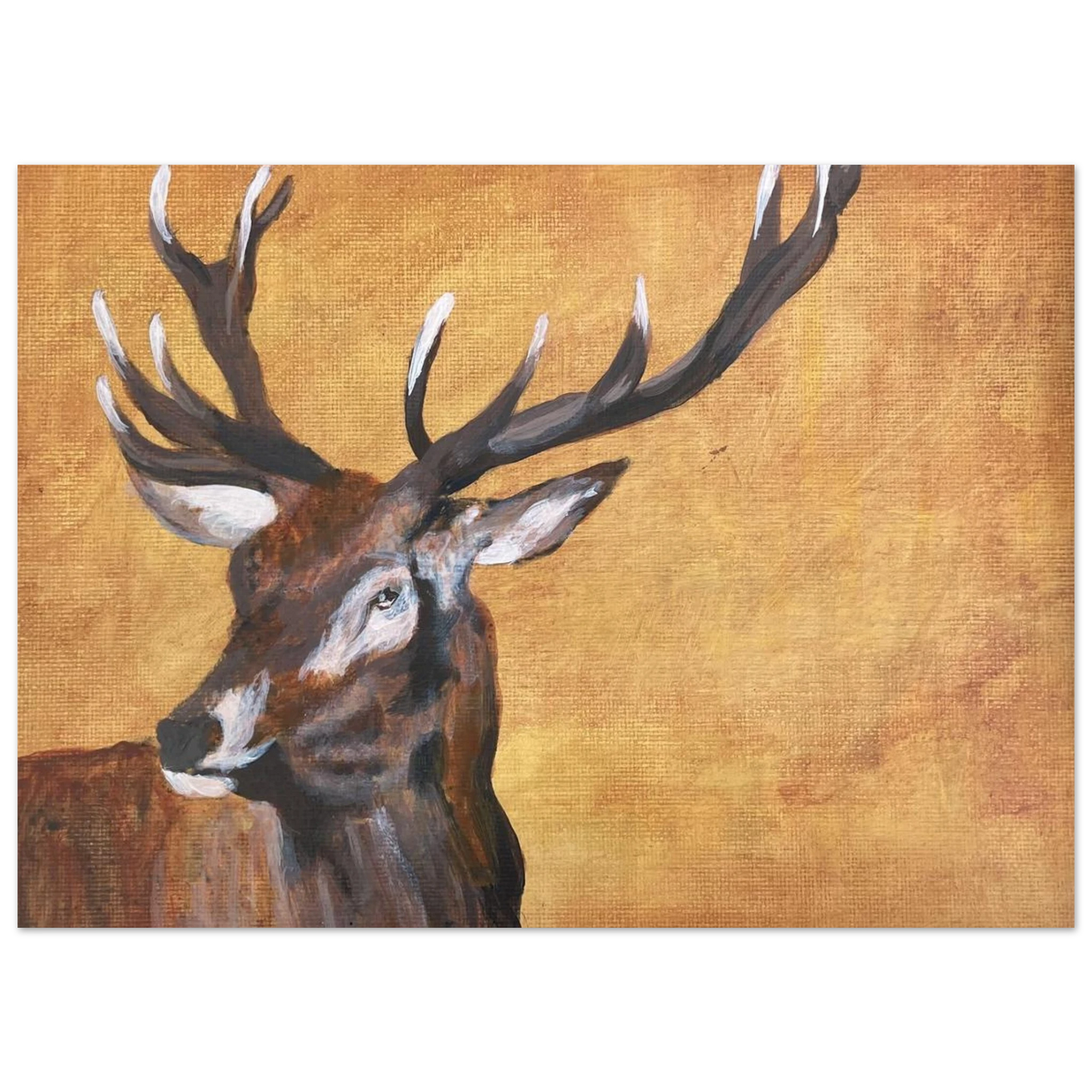 db74f83a-08f6-40ba-b394-38afbf4c7b9c